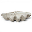 Oversized white seashell bowl magnesia shell decor coastal centerpiece decorative clam shell bowl