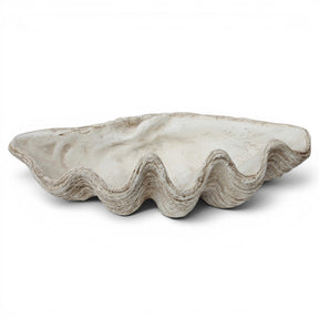 Oversized white seashell bowl magnesia shell decor coastal centerpiece decorative clam shell bowl