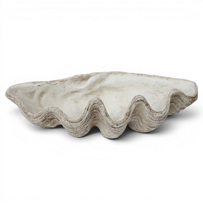 Oversized white seashell bowl magnesia shell decor coastal centerpiece decorative clam shell bowl