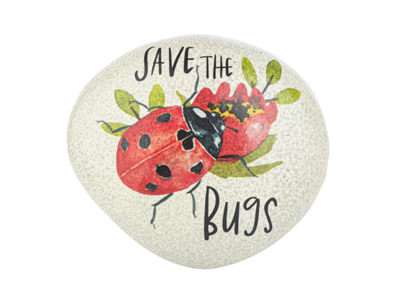 Bug Message Painted Art Rocks | Hand-Painted Nature-Inspired Decorative Stones