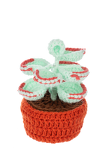Crochet Succulent Plant Figurines | Handcrafted Yarn Decor