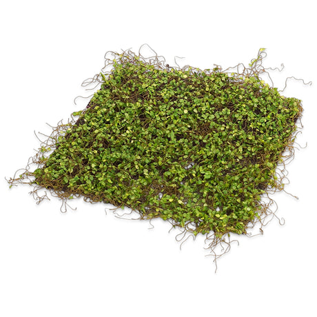 Square moss mat made of polyester and plastic, measuring 12 inches, ideal for decorative displays and crafts.