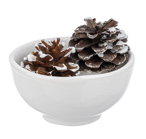 White Ceramic Holiday Tidbit Bowls