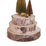 three natural birch wood slice display risers with bark edges