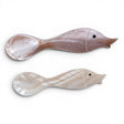 natural shell spoon with fish shaped handle coastal kitchen decor
