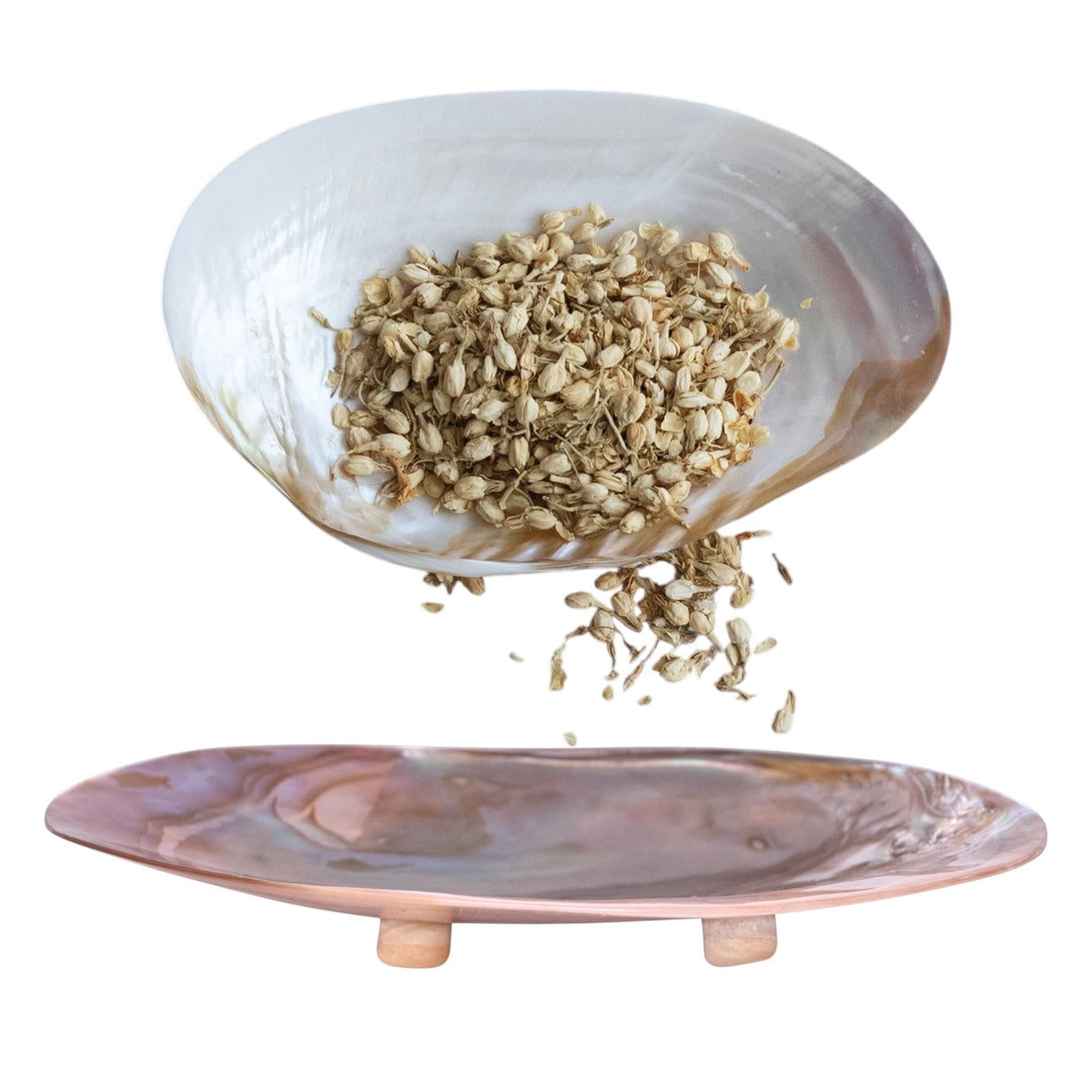 natural shell footed dish iridescent decorative catchall coastal decor
