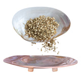 natural shell footed dish iridescent decorative catchall coastal decor
