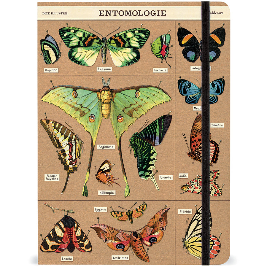 Vintage-Inspired Entomology Butterfly Notebook Journal with Elastic Closure