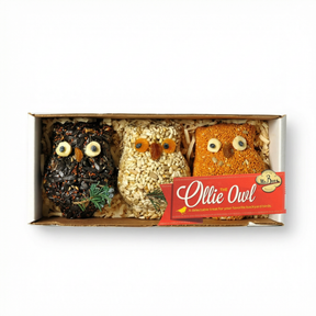 owl bird seed treat 3 pack hanging edible bird feeder gift set with fruit accents