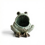 frog planter with open mouth small whimsical frog plant pot for succulents and shelf décor