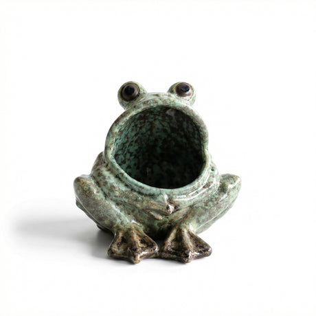 frog planter with open mouth small whimsical frog plant pot for succulents and shelf décor