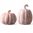 two orange terracotta pumpkins fall decoration
