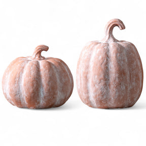 two orange terracotta pumpkins fall decoration