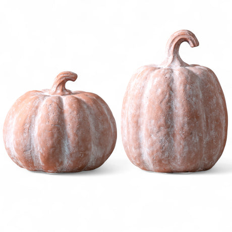 two orange terracotta pumpkins fall decoration