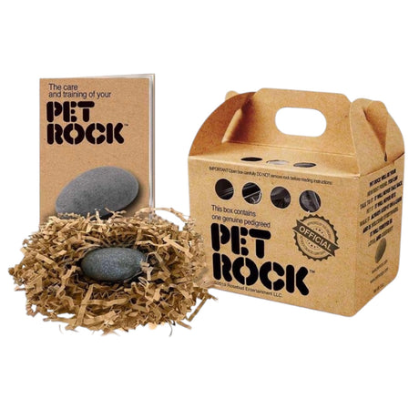 official classic pet rock toy