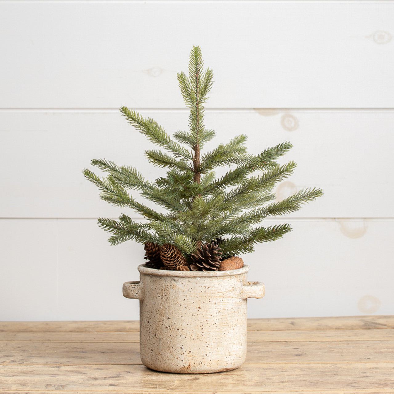 Mini Pine Tree in Ceramic Pot with Pinecones - Thumbnail 2
