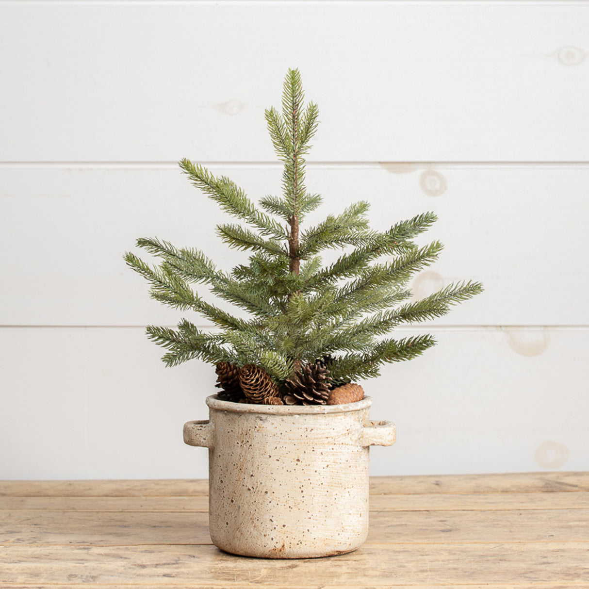 Mini Pine Tree in Ceramic Pot with Pinecones