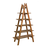 Shelf Ladder Display