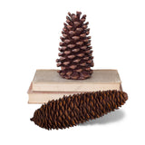 Brown Decorative Pinecones