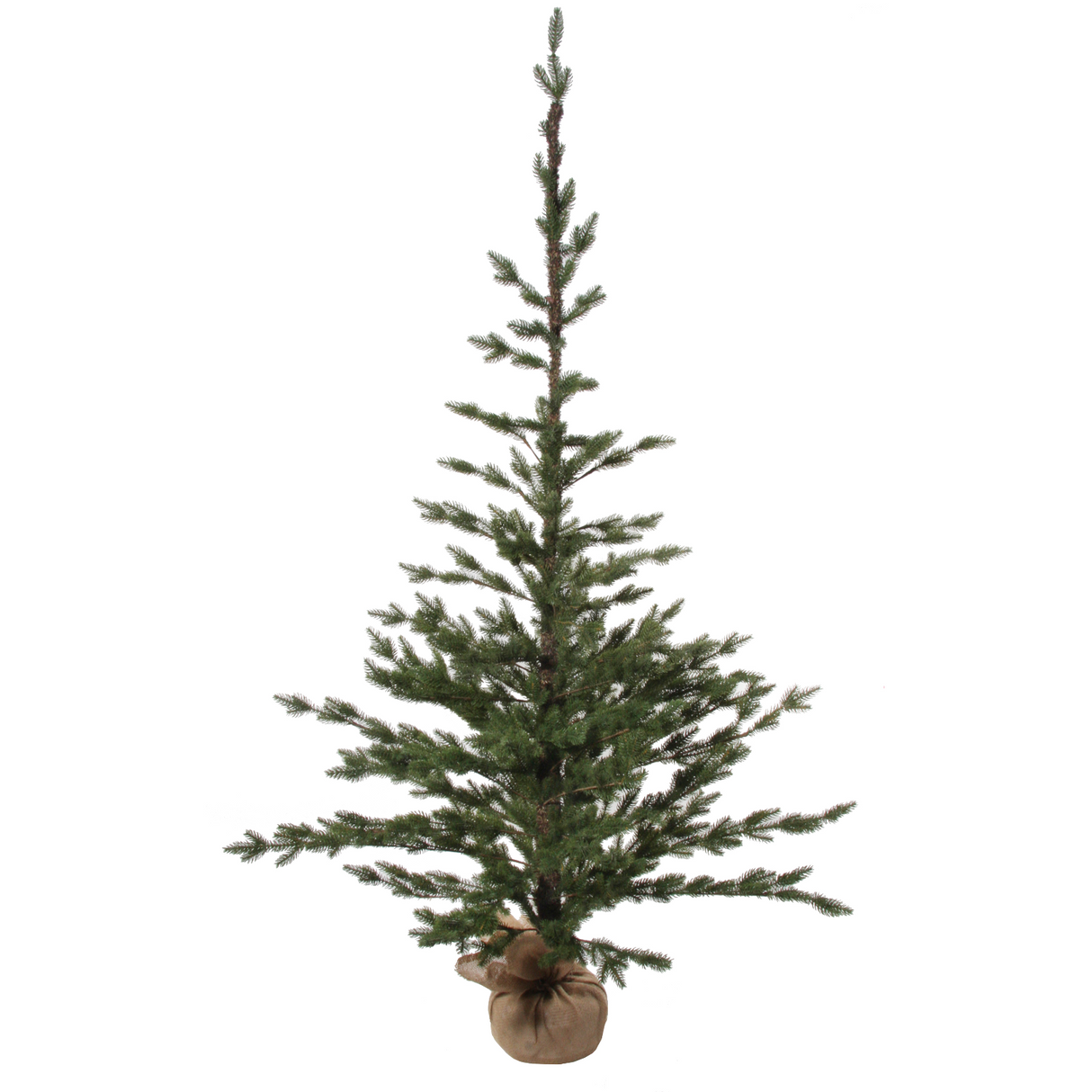 Sparse Fir Trees with Jute Base