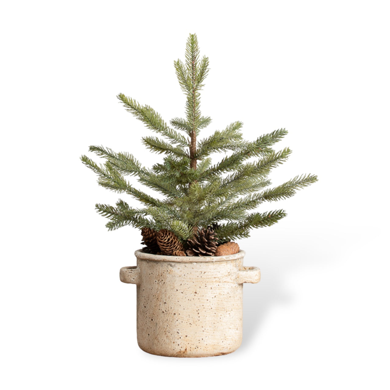 Mini Pine Tree in Ceramic Pot with Pinecones