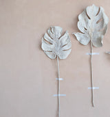 Faux Plastered Philodendron Split Leaf