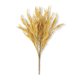 Natural Wheat Bush