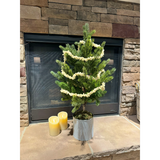 Potted Evergreen Tree in Textured Galvanized Pot