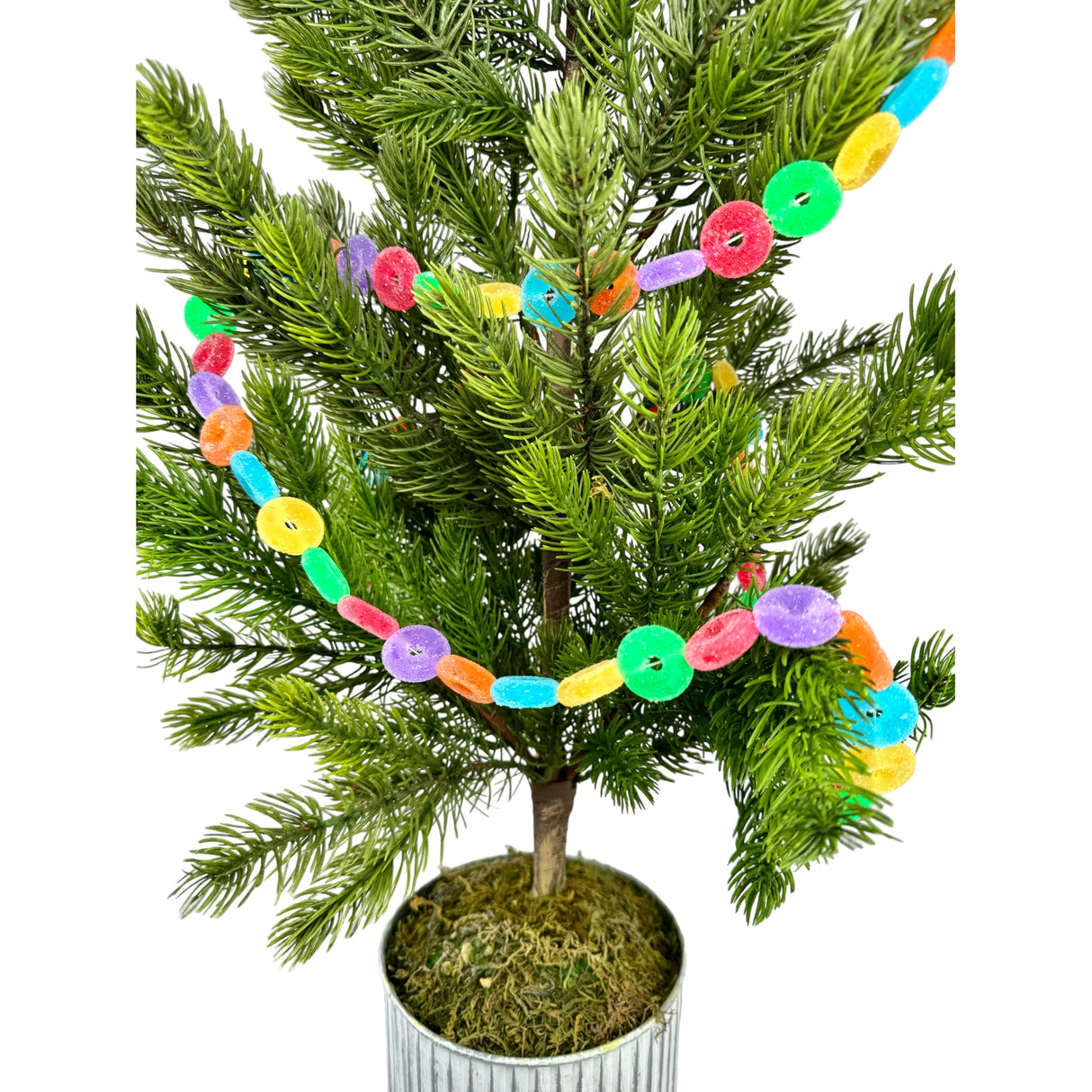 Potted Evergreen Tree in Textured Galvanized Pot