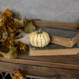 Rustic Fall Resin Pumpkins