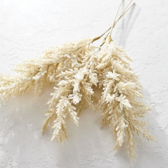 Bundle of Pampas Grass Stems