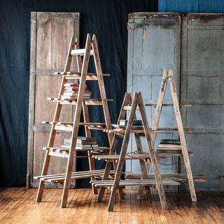 Shelf Ladder Display
