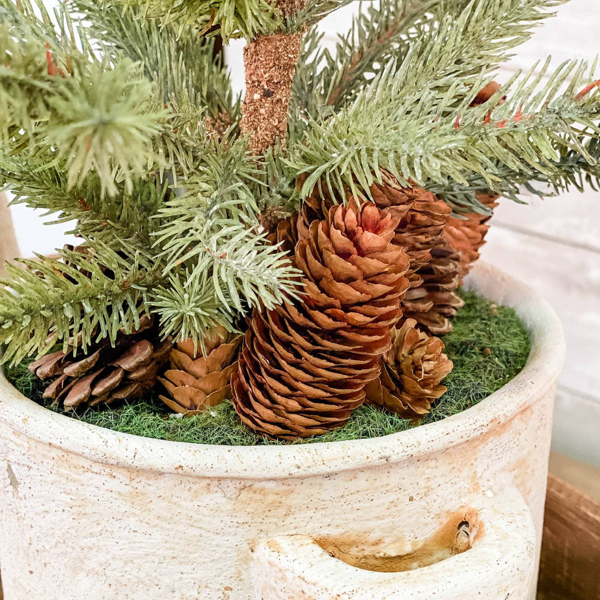 Mini Pine Tree in Ceramic Pot with Pinecones