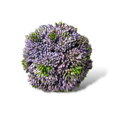 Green + Purple Sedum Balls