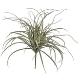 Curly Grass Bush Stem