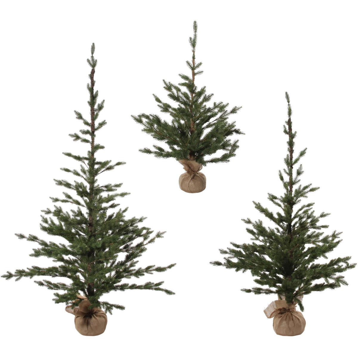 Sparse Fir Trees with Jute Base