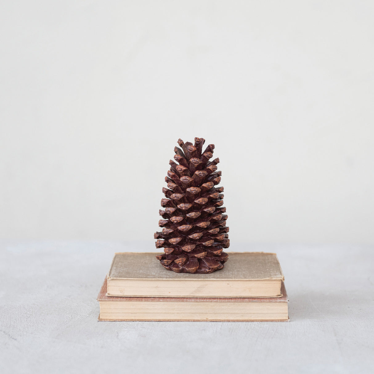 Brown Decorative Pinecones