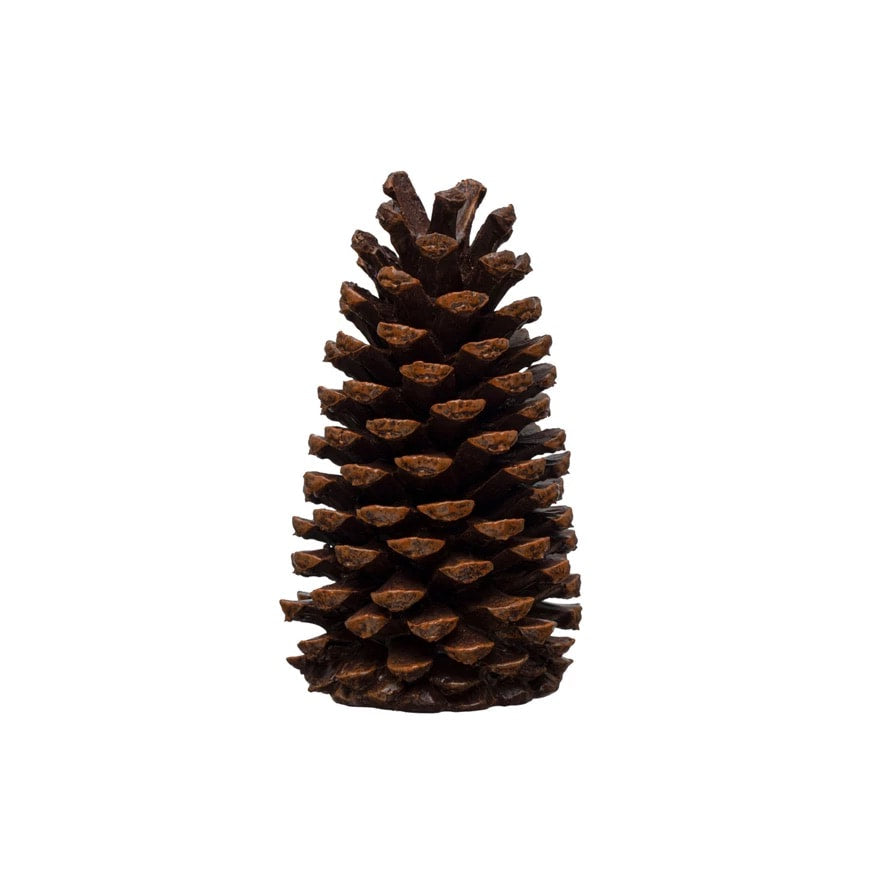 Brown Decorative Pinecones