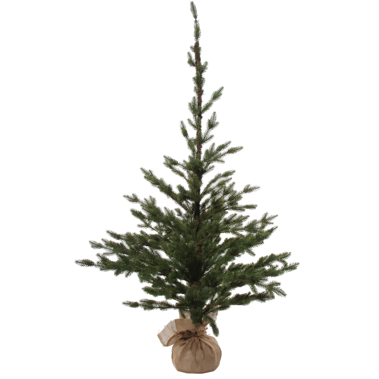 Sparse Fir Trees with Jute Base