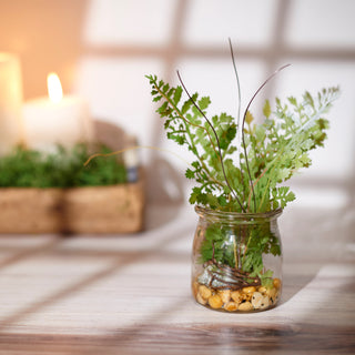 Fern & Succulent Jars