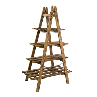 Shelf Ladder Display