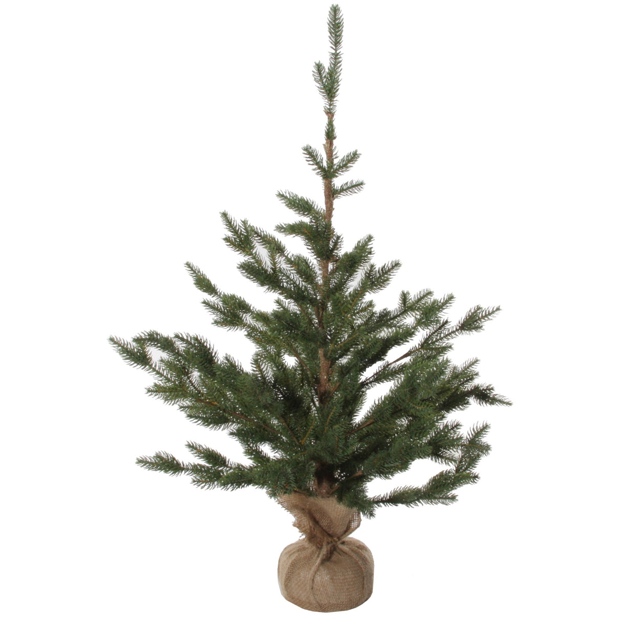 Sparse Fir Trees with Jute Base