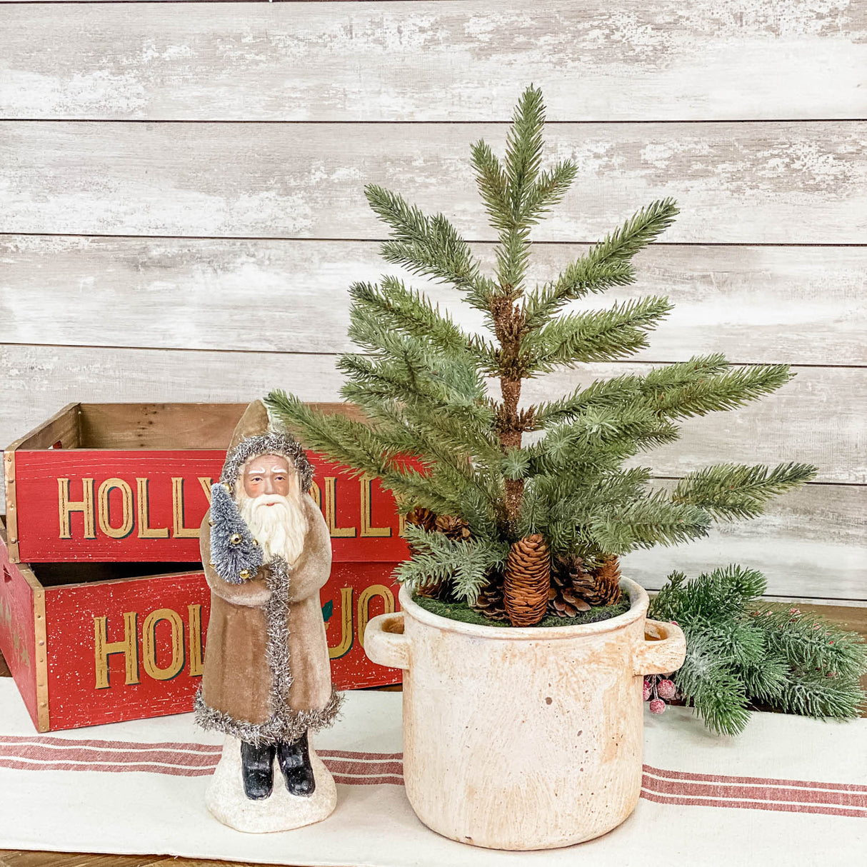 Mini Pine Tree in Ceramic Pot with Pinecones