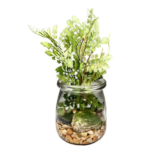 Fern & Succulent Jars