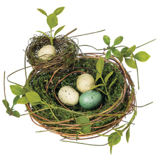 Double Bird Nest with Eggs