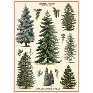 Cavallini Poster with Christmas Trees Print