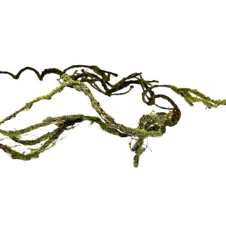 Twig Garland with Moss