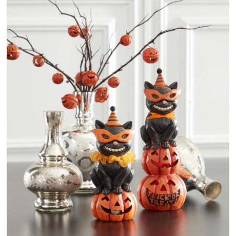 Orange Jack-O-Lantern Pumpkin Stem