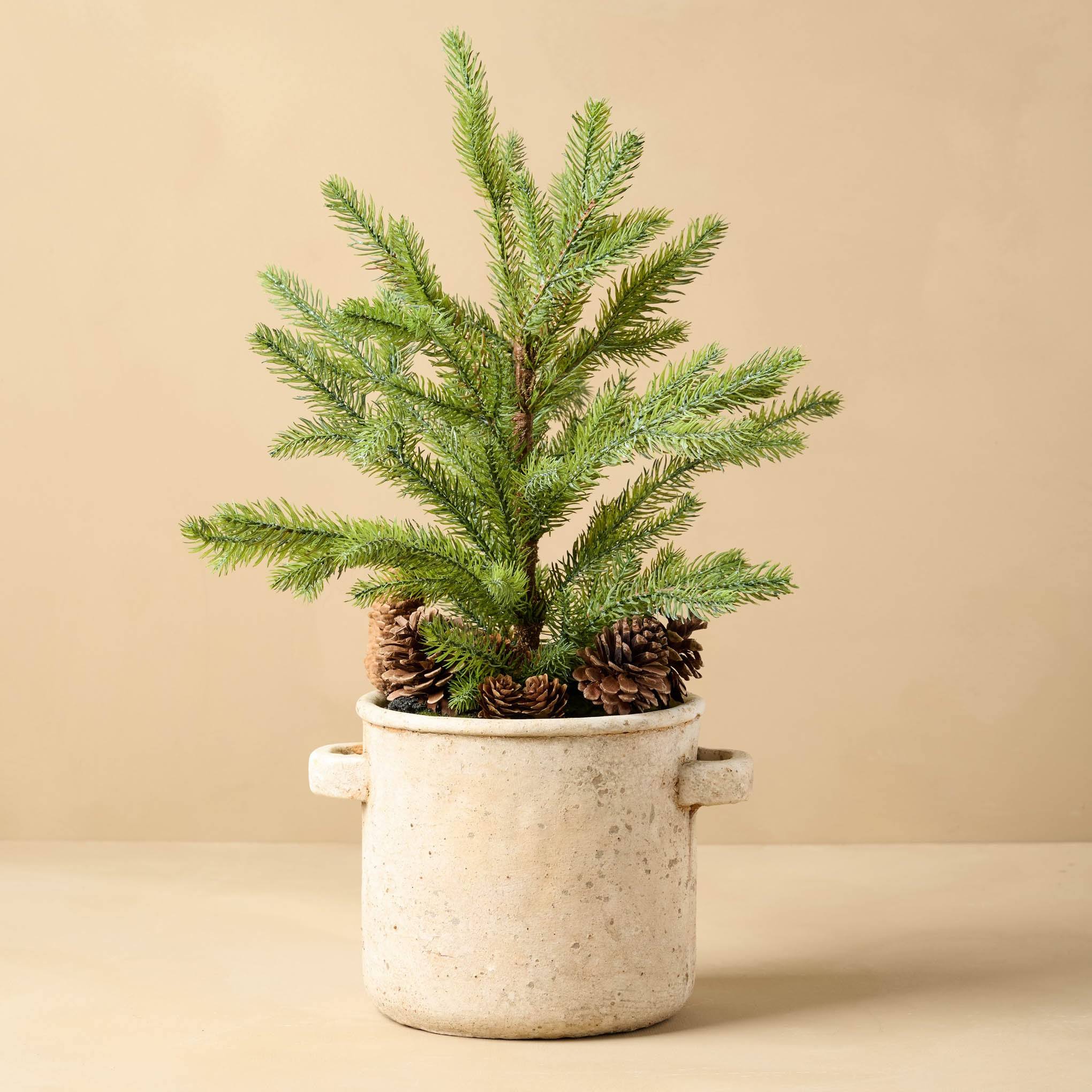 Mini Pine Tree in Ceramic Pot with Pinecones - Thumbnail 3