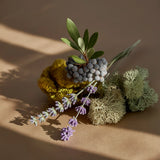 Winter Bayberry | Studio McGee Pura Fragrance Refill